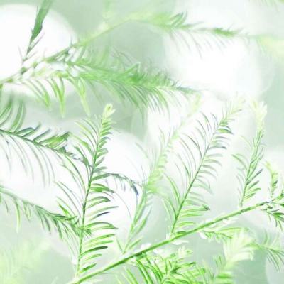 口袋逆袭海量版下载